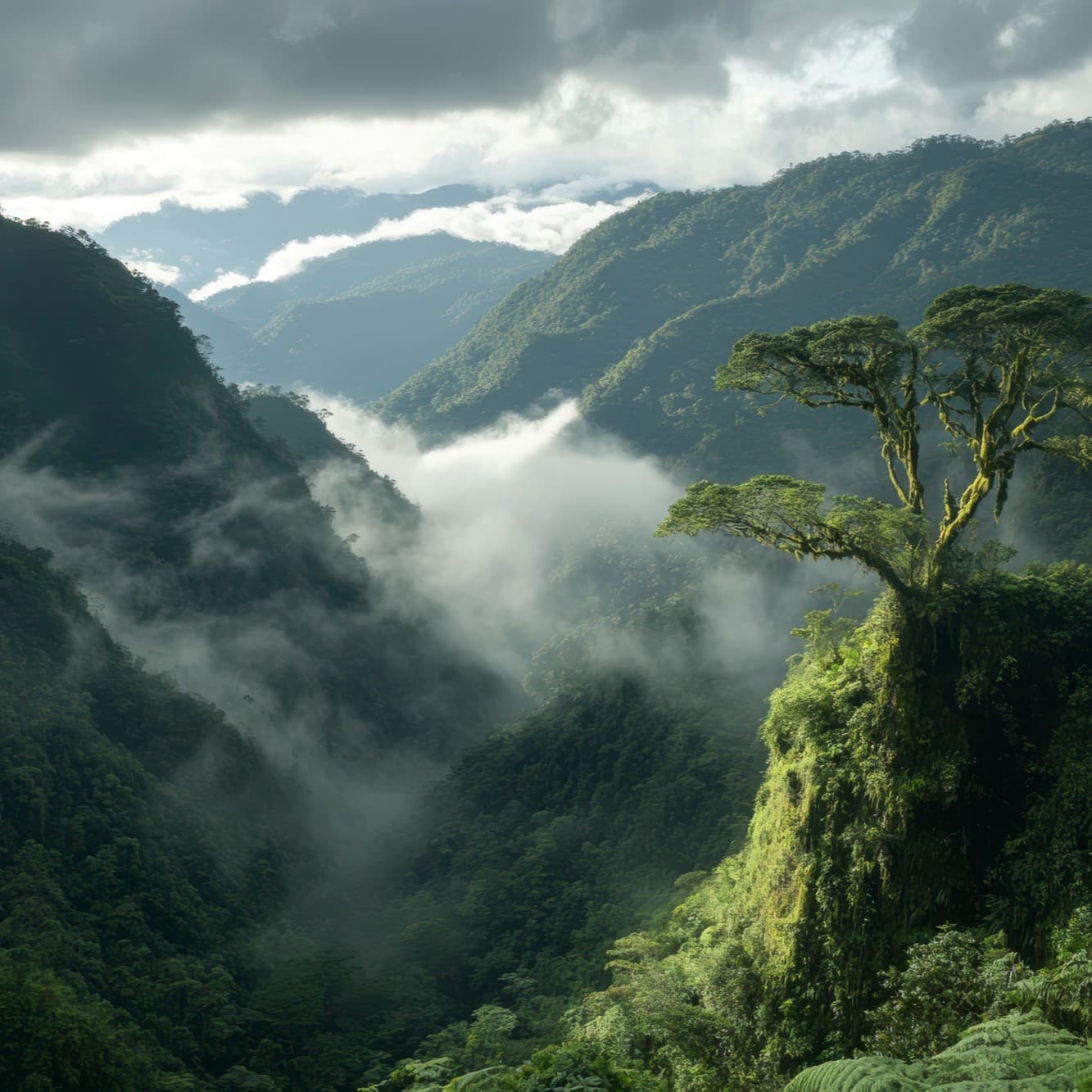 Choto Cinema creates short-form stories from real travel memories.